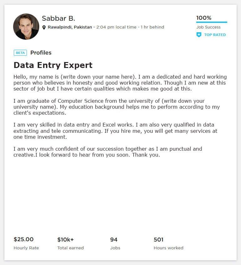 Data Entry Overview Sample and Example for Upwork - Webson Job