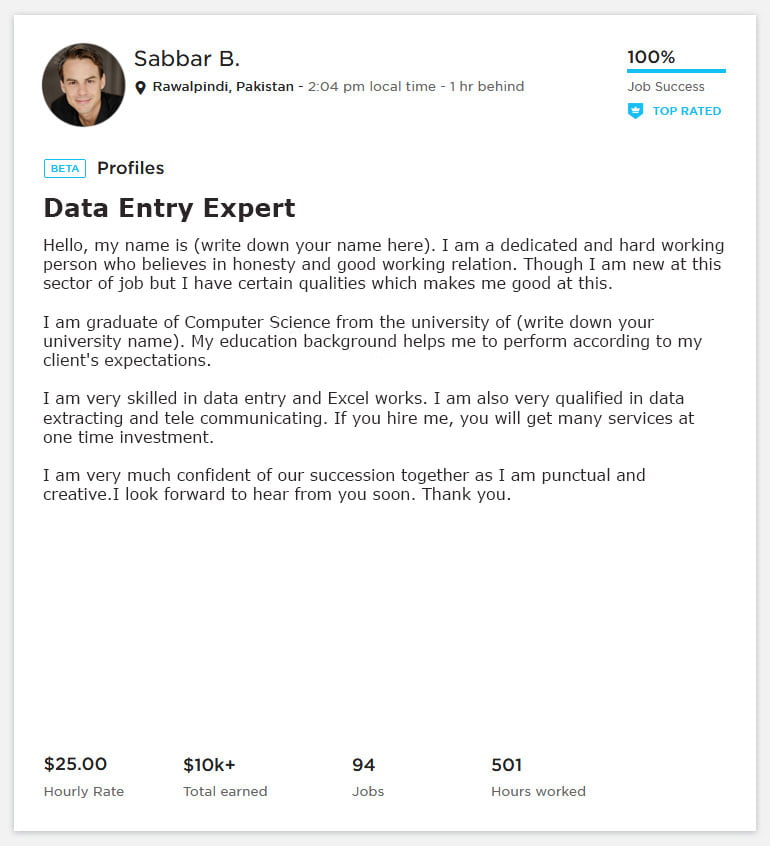 Data Entry Overview Sample & Example for Upwork Freelancers