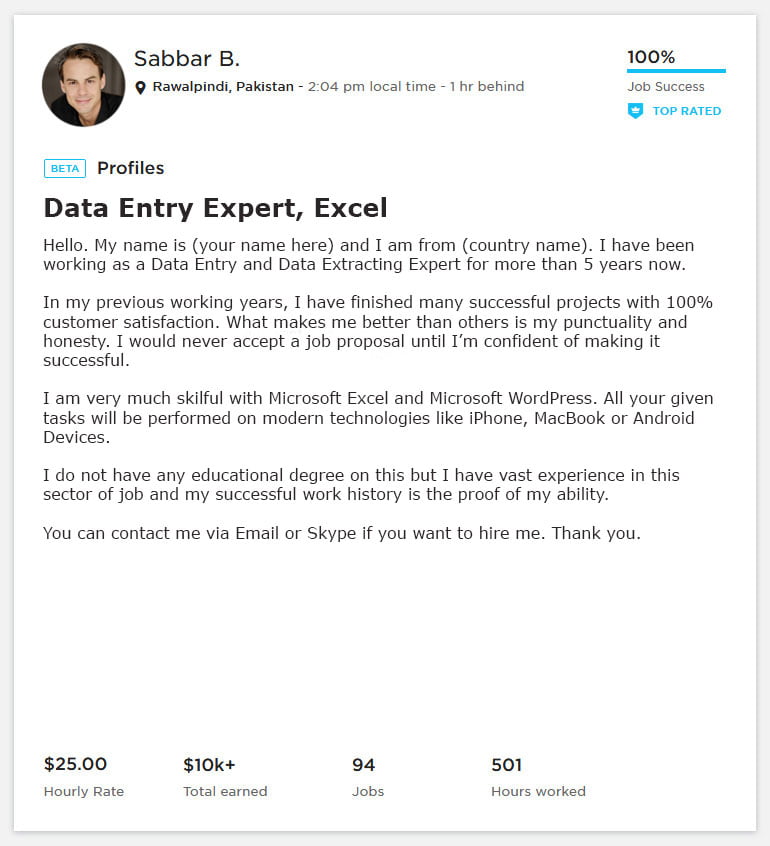 Data Entry Overview Sample and Example for Upwork - Webson Job