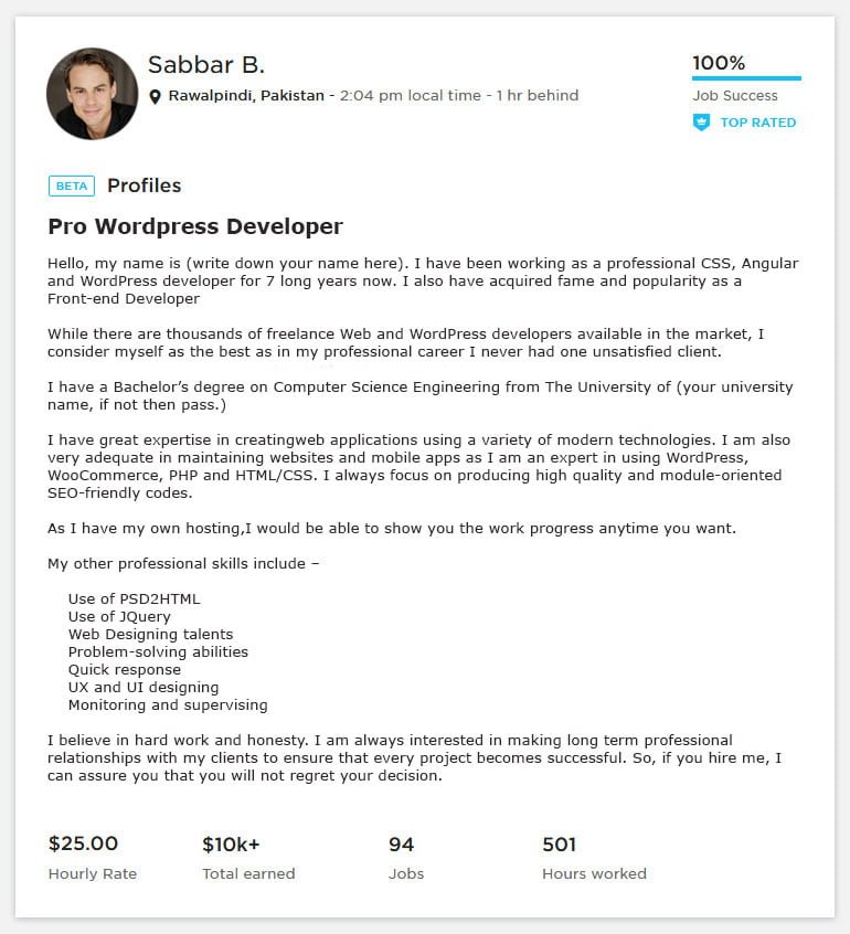 Upwork Overview Sample for WordPress Developer